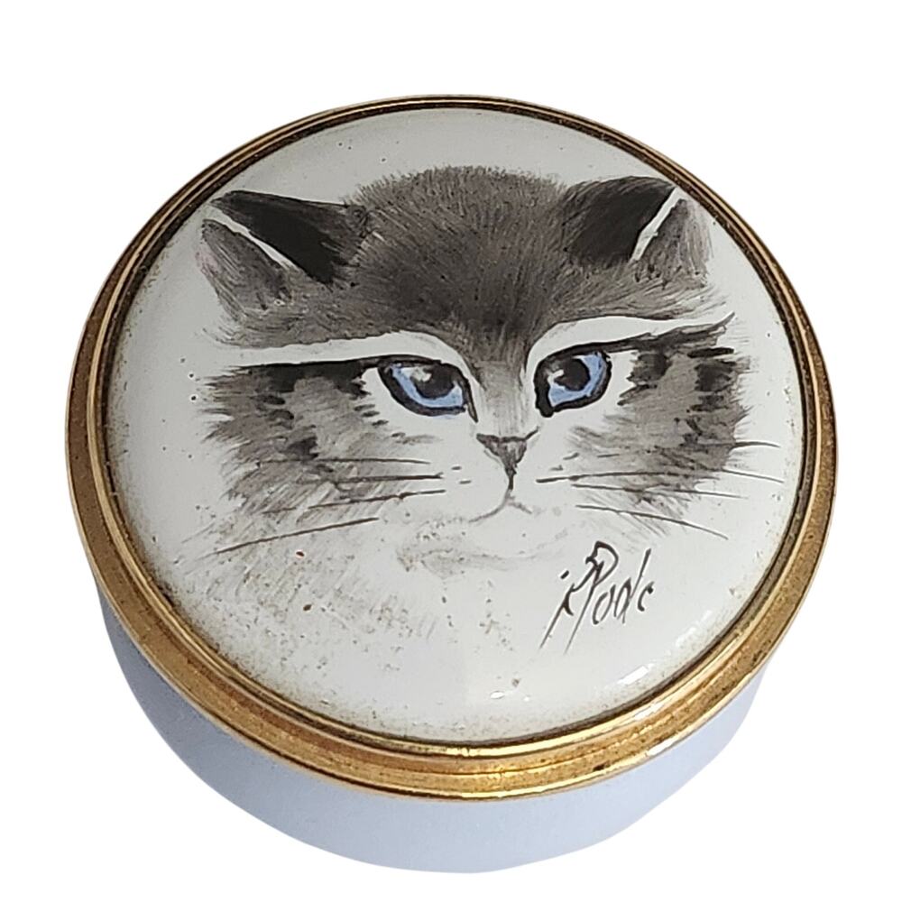 Vtg Rare Ray Poole Kingsley England Enamel Himalayan Cat Kitten Tiny Box